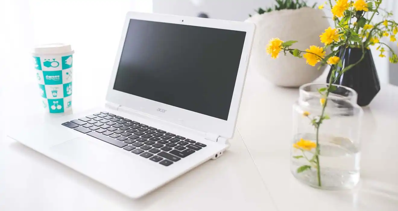 Ремонт ноутбуков Acer в Стрельне