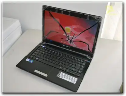 Замена матрицы Packard Bell в Стрельне